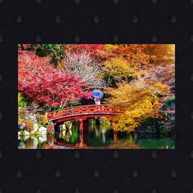 Asian Woman Wearing Japanese Traditional Kimono in Autumn Park Japan by benayache